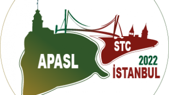 APASL SINGLE TOPIC CONFERENCE